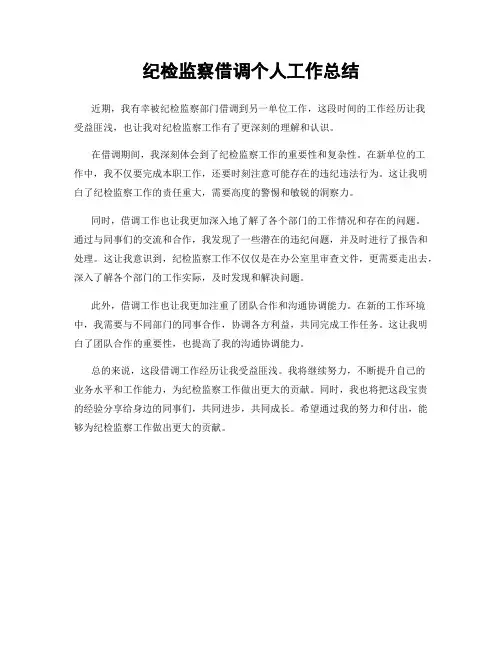 纪检监察借调个人工作总结