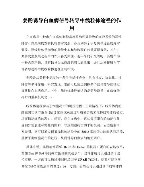 姜酚诱导白血病信号转导中线粒体途径的作用