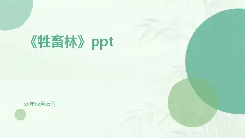 《牲畜林》ppt