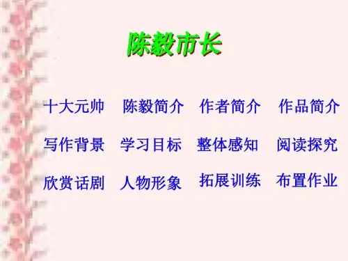陈毅市长