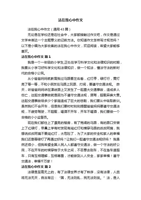 法在我心中作文