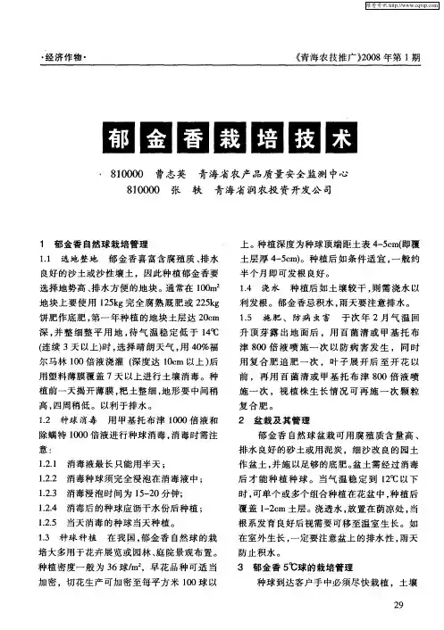 郁金香栽培技术