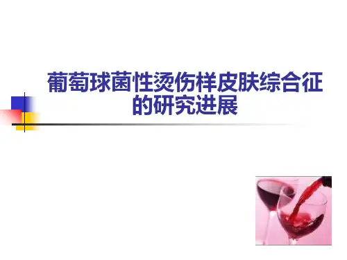 葡萄球菌烫伤样皮肤综合征的研究进展ppt课件
