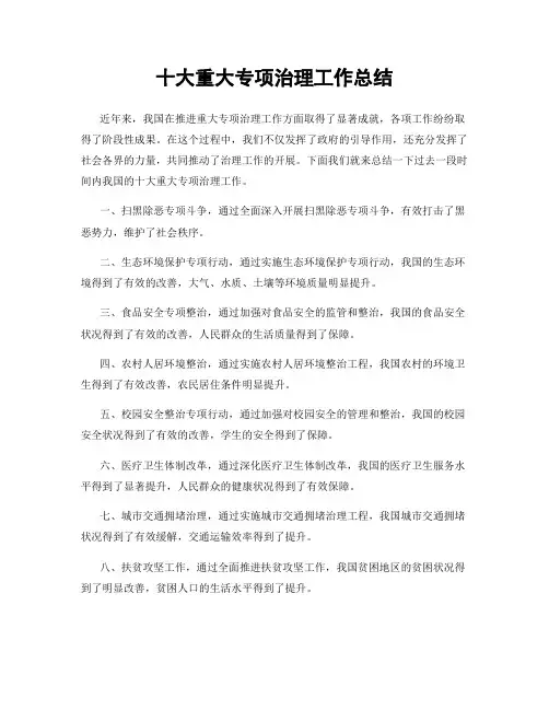 十大重大专项治理工作总结
