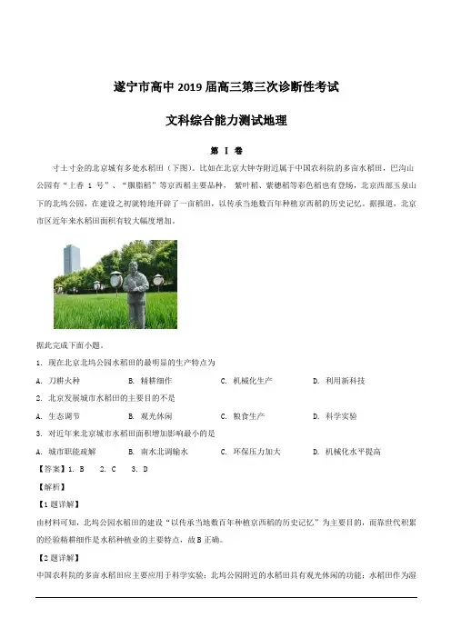 四川省遂宁市2019届高三第三次诊断性考试文综地理试题 含解析