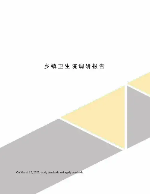 乡镇卫生院调研报告