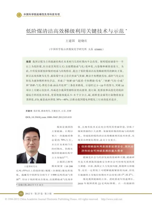 低阶煤清洁高效梯级利用关键技术与示范_王建国