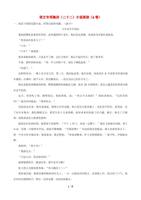 中考语文专项集训小说阅读(A卷)