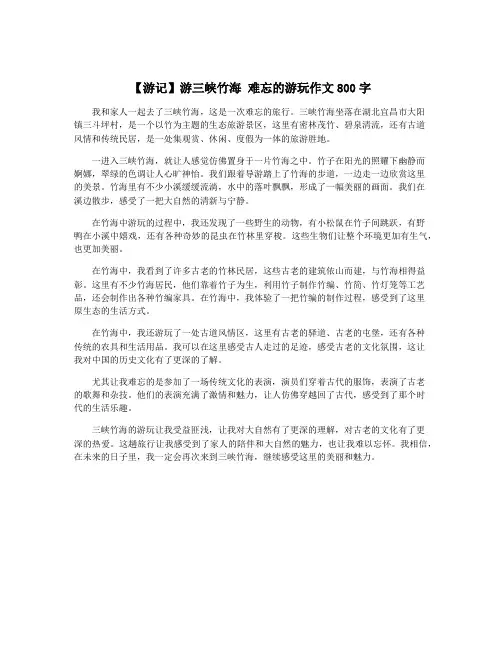 【游记】游三峡竹海 难忘的游玩作文800字