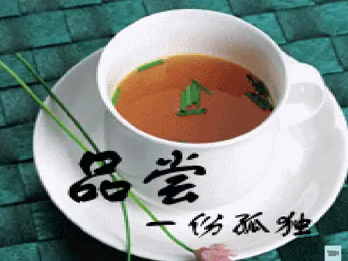 《孤独之旅》ppt课件