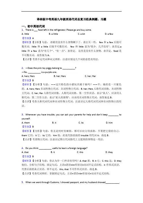 译林版中考英语九年级英语代词总复习经典例题、习题