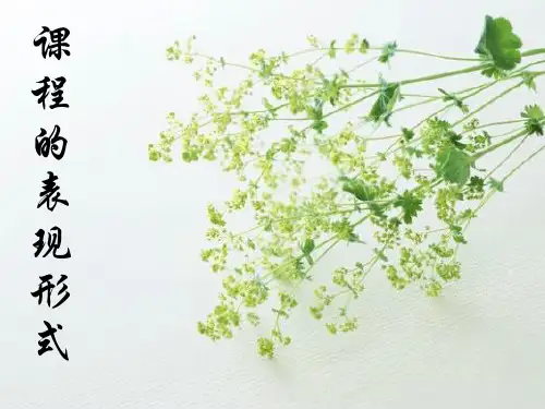 课程的表现形式