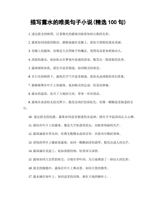 描写露水的唯美句子小说(精选100句)