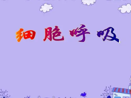 高三生物一轮复习细胞呼吸课件 人教版