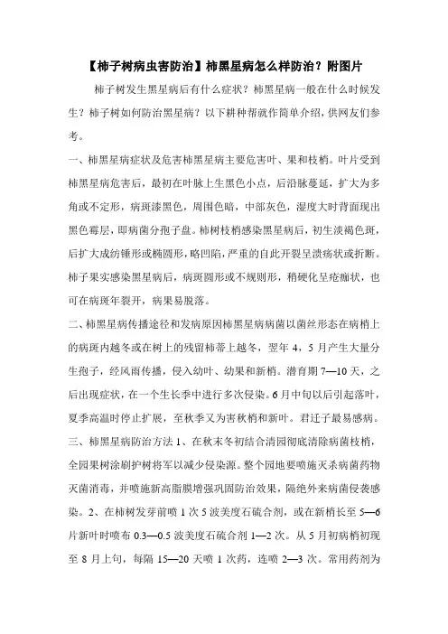 【柿子树病虫害防治】柿黑星病怎么样防治？附图片