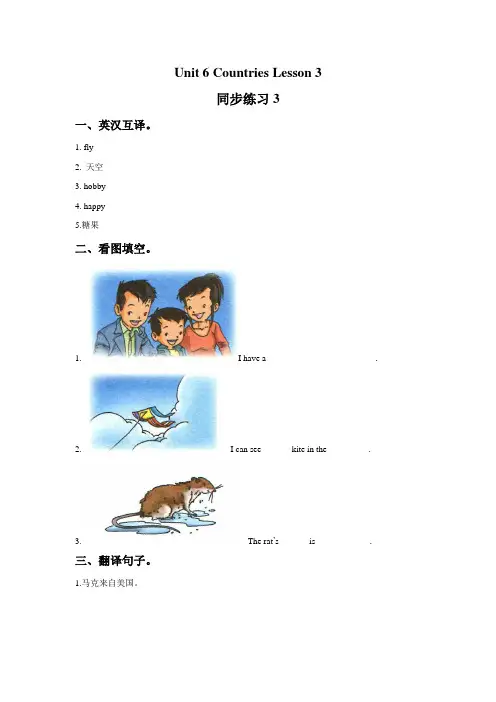 人教新起点四年级下册英语Unit6Countries试题(含答案)(10)