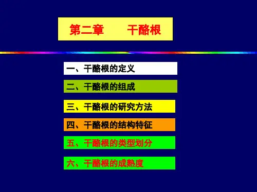 第2章_干酪根ppt(改动), 教授级