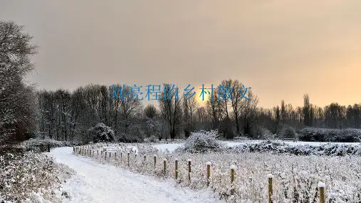 刘亮程散文