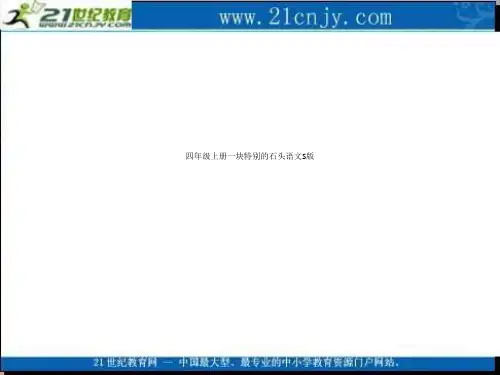 四年级上册一块特别的石头语文S版