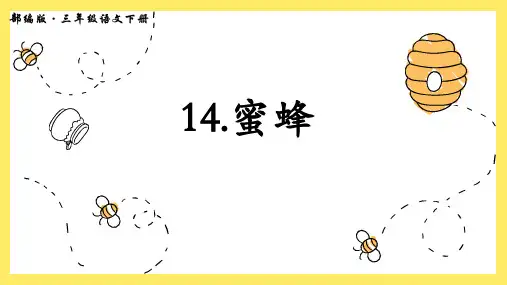 部编版三年级语文下册14.《蜜蜂》课件(共31张ppt)