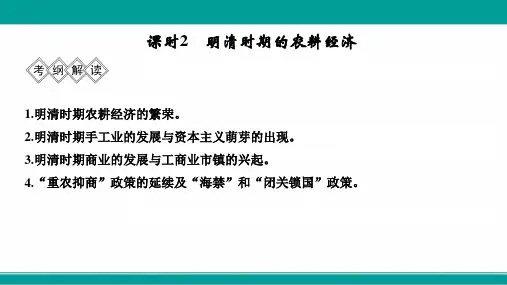 高考历史一轮复习通史人教版课件阶段五中华文明的辉煌与危机明清(1840前)课时2