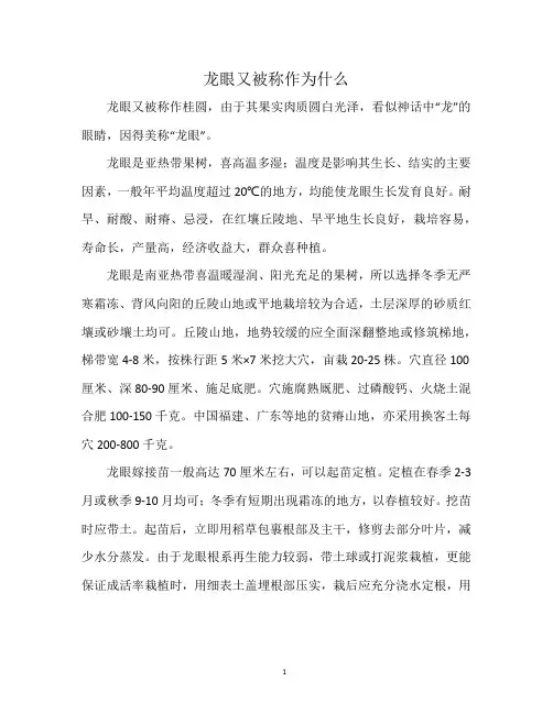 龙眼又被称作为什么