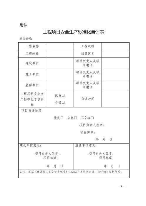 江苏省安全生产自评申报表
