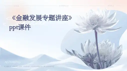 《金融发展专题讲座》课件