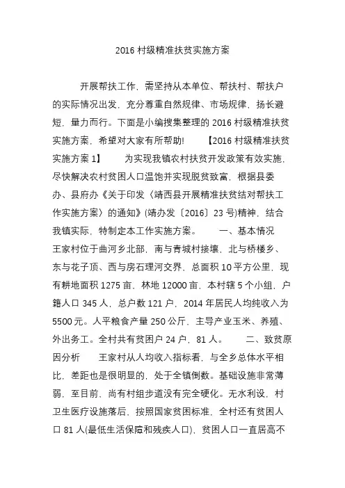 2016村级精准扶贫实施方案
