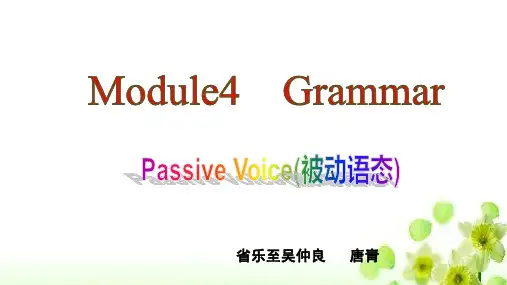 高中英语Module 4 Great Scientists 优秀课件6