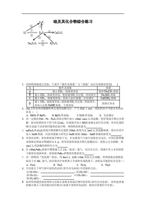 高中化学必修一-硅及其化合物综合练习
