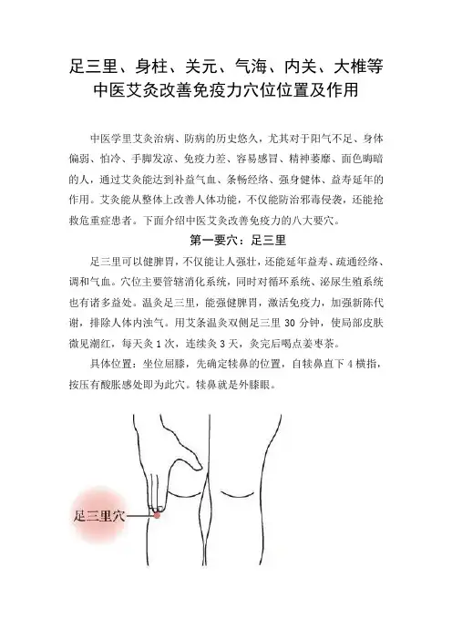 足三里、身柱、关元、气海、内关、大椎等中医艾灸改善免疫力穴位位置及作用