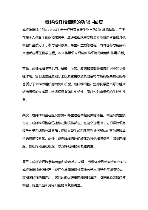 概述成纤维细胞的功能 -回复