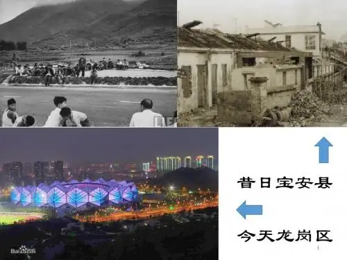 部编人教版八年级语文上册 名著导读《红星照耀中国》 纪实作品的阅读1