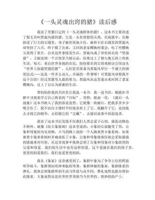 《一头灵魂出窍的猪》读后感