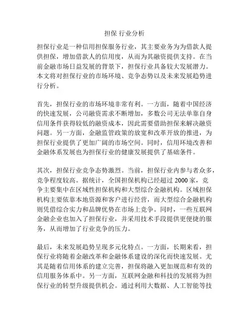 担保 行业分析