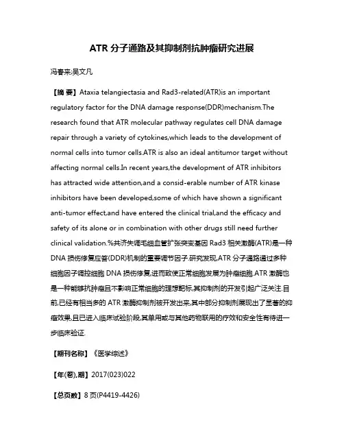 ATR分子通路及其抑制剂抗肿瘤研究进展