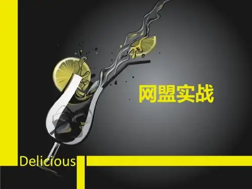 网盟广告实战经验分享