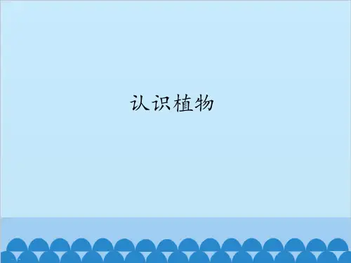 一年级上册科学课件：5 认识植物：冀教版 (共24张PPT)