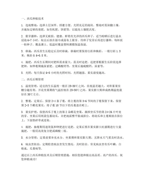 西瓜种植技术以及后期管理