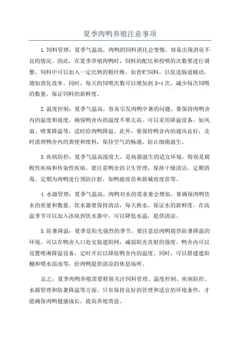 夏季肉鸭养殖注意事项