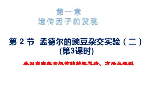 1.2 孟德尔的豌豆杂交实验(二)(第3课时)(课件)高中生物统编版2019
