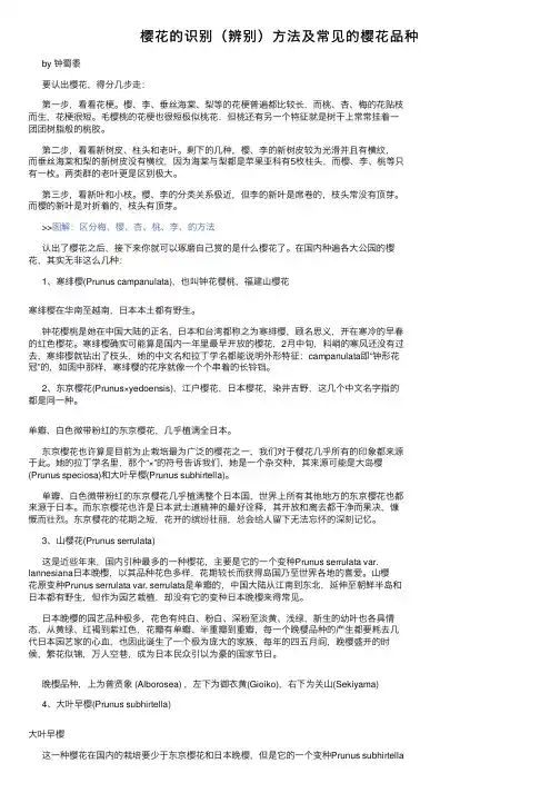樱花的识别（辨别）方法及常见的樱花品种