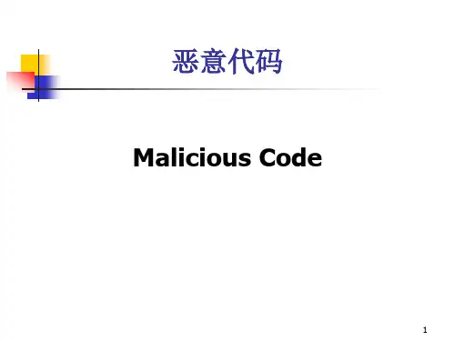 25恶意代码