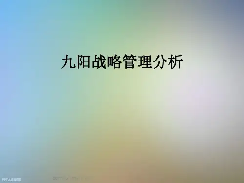 九阳战略管理分析