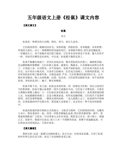 五年级语文上册《松鼠》课文内容