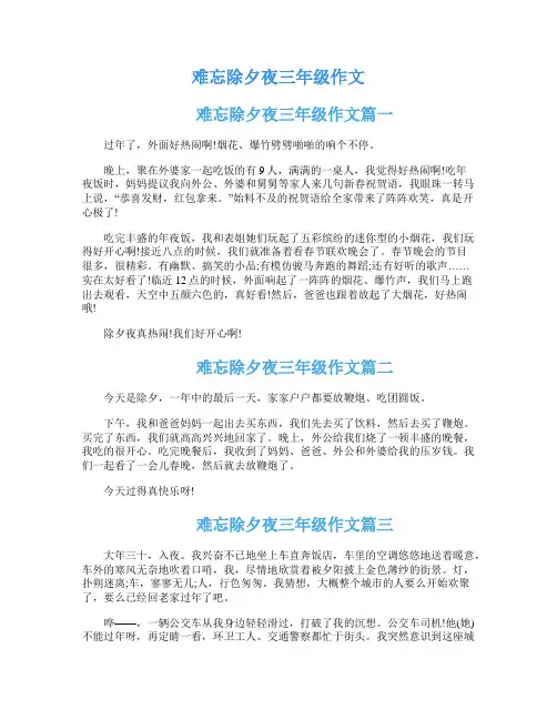 难忘除夕夜三年级作文