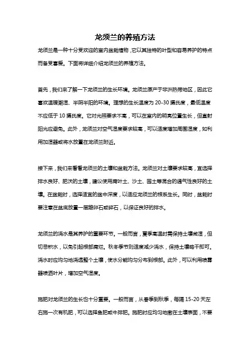 龙须兰的养殖方法