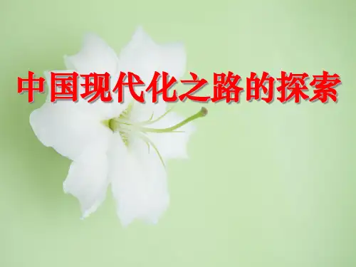 中国现代化之路的探索PPT教学课件