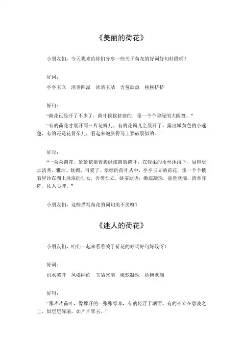 荷花好词好句好段摘抄